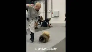 Варваренси Грег из мира Кабановой