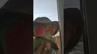 это или это?) собераем лук 