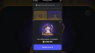 Комбо Hamster Kombat 8-9 июня 2024