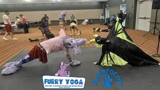 Furry Yoga Live @Anthrocon 2023 Day 1