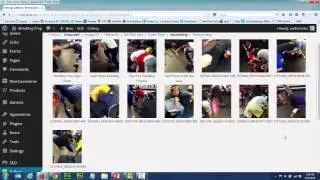 How to Add Galleries to Wordpress Using NextGen Plugin