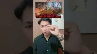 Jutaan lalat di kam4rnya #DewataBali #NgeShortsBareng