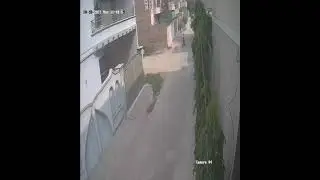 Green Town Pakpattan| Bike Chor Part 1