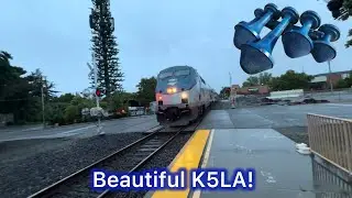 P42 134's BEAUTIFUL K5LA!