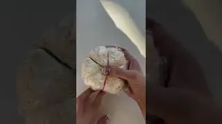 Halloween snacks