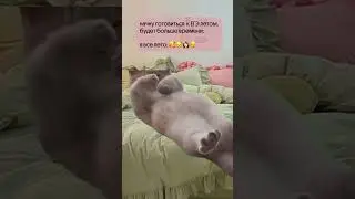 Летом можно отдыхать💆🏻‍♀️ #егэ #подготовка #вебиум #мем