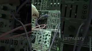 Brains & Jamuary Samples: The Perfect Match for Your Next Hit! #eurorackmodular