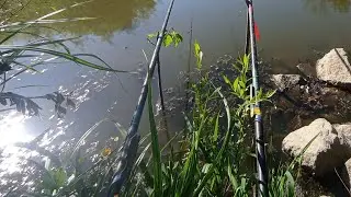 У каналі Українське село відбувається прямий Рибалка