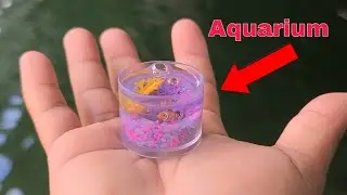 WORLD'S SMALLEST Fish AQUARIUM!