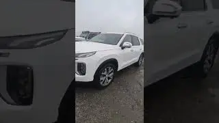 Хендай Палисад 20.08. Транспортная компания