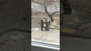 Да сколько же вас таких обездоленных, что приходится копаться в мусорных баках? 