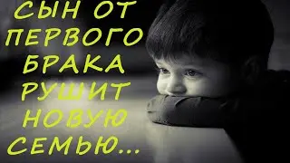 Бывшая жена претендует на моего мужа...