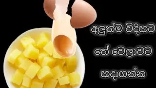 අලයි බිත්තරයි  තියෙනවා නම් තේ වෙලාවට හදාගන්න | Jawa Food Corner
