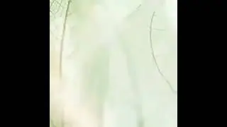 Новинка.Пополнение в серии Шарми (твёрдый шампуть для всех типов волос)