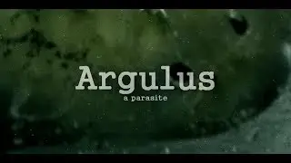 Argulus - Fish Parasite