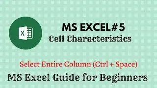 MS EXCEL #5 | Cell Charactristics | Guide For Beginners | HINDI