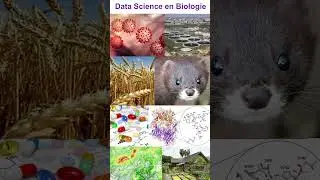 La Data Science en Biologie