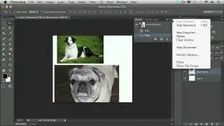 Adobe CS6 Design Web Workflow 2012 Raster Image Editing with Photoshop 02  Exploring the Photoshop I