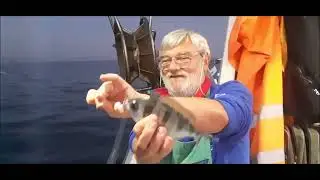 PESCA A BOLENTINO A SAVONA AL CALA SOLE E NOTTURNA CON BELLISSIME CATTURE