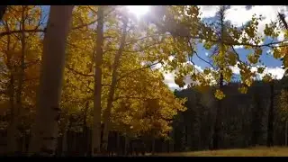 Flower Hill Institute Rewilding