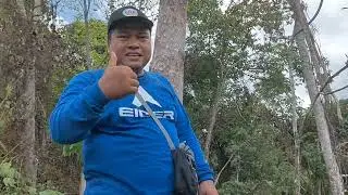 Kembali Menanam Sawit Di Lahan Berbukit