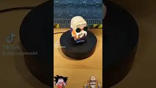 Pantasy dragonball : tortue genial et Sangoku