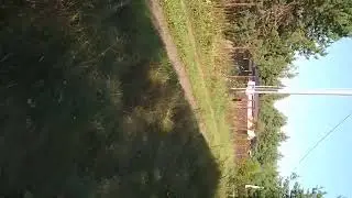 НЕ УСПЕЛА ПРИЕХАТЬ.. И ОПЯТЬ ГРИБЫ 🍄.