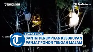 Viral Video Seorang Santri Perempuan Kesurupan Panjat Pohon Tengah Malam di Kalsel