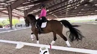 Henry schooling @Global April 2024