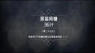 黑猫网赚36计第27计：短视频风口下繁衍的暴利产品（一）