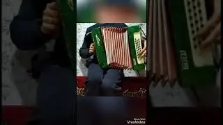 Заиграла гармонь