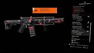 Division 2 Билд боевик описание  прямо в этом видео