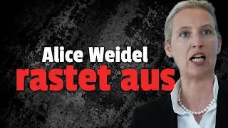 Weidel und AfD Fraktion STINKSAUER wegen SCHOLZ