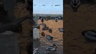 ЖИГУЛЁВСК / улица Моркашинская / февраль 2024