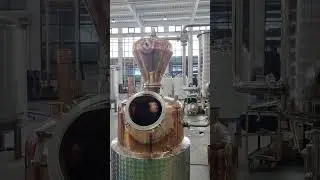 200L gin still spirits still reflux column still with copper plate moonshine still hybrid still