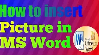 How to insert picture in ms word| How to add border on picture in word| 