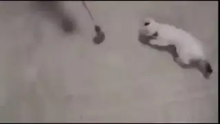 Тук