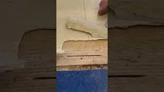 Overcome Fear and Install Vinyl Plank Like a Pro: Essential Tips