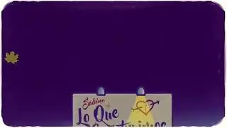SABINO - LO QUE CONSTRUIMOS