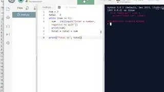 Python - use loop to calculate total