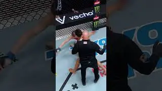 Natalia Silva knocks out Tereza Bledá with a Spinning Back Kick! 😱 #UFCVegas97 #UFCIndia #Shorts