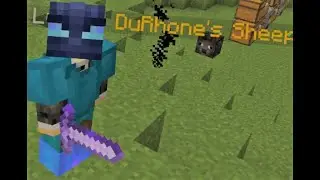 Hypixel (w/DuRhone) My hypixel history!