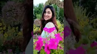 ফুলের মাঝে ফুল আমাদের প্রিয় অপু বিশ্বাস❤💞💕#Shakib khan #Apu Biswas #Shorts