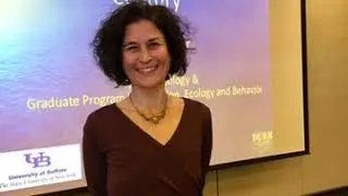 Irus Braverman - In-depth Exploration