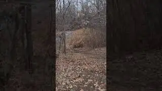 УРАЛ