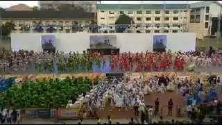Sinulog Festival - The Queen of All Philippine Festival