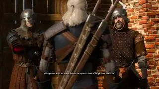 The Witcher 3 GTX 1050Ti Ultra 720p