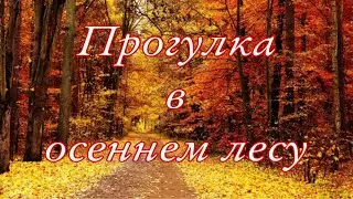 Прогулка в осеннем лесу