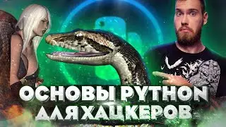 Python с нуля. Уроки программирования для начинающих безопасников