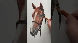 I love using a nice vibrant orange when drawing animals 🍊 